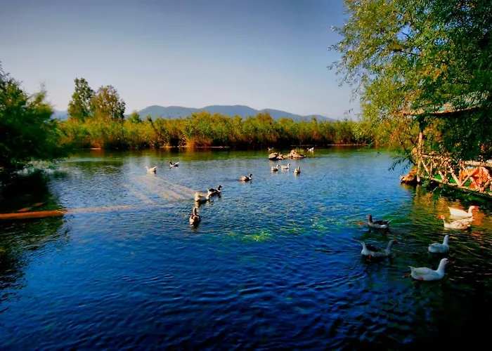 Апарт-отель Oezgem Акьяка